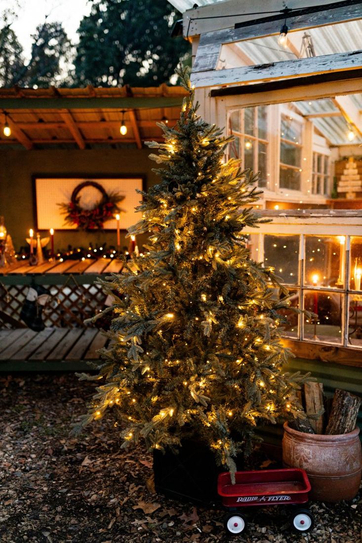 A lit Christmas tree and little red wagon outside the greenhouse at dusk, candles glowing on the potting bench behind